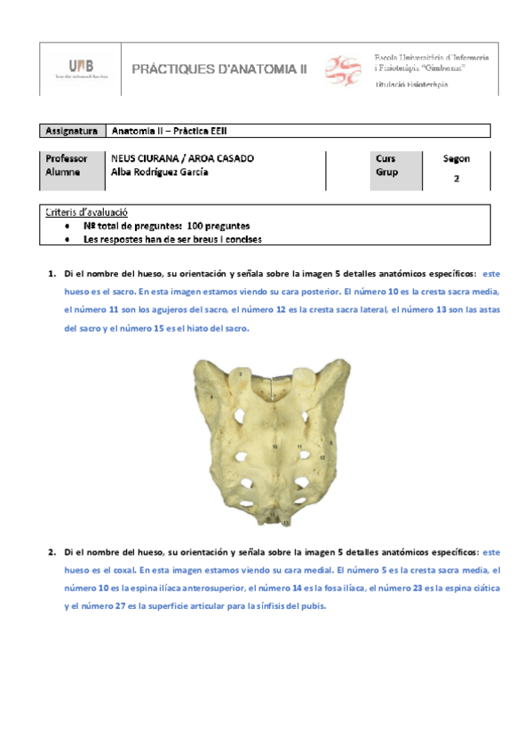 Miniatura del documento TRABAJO-OPCIONAL-INFERIOR.pdf