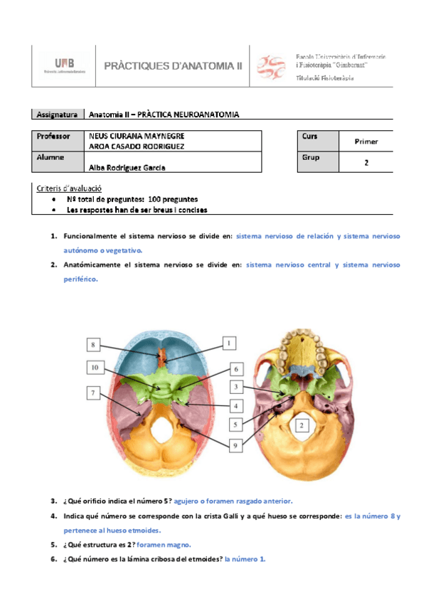Miniatura del documento TRABAJO-OPCIONAL-NEUROANATOMIA.pdf
