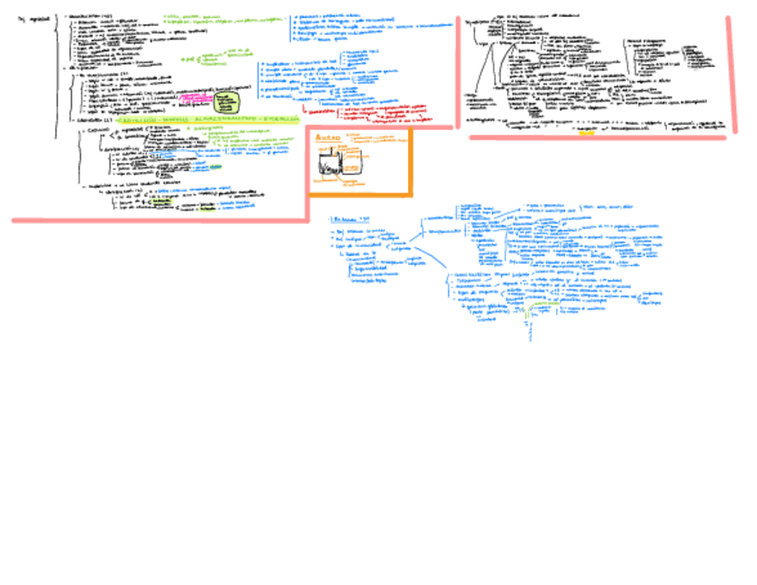 Miniatura del documento RESUMEN-HISTO.pdf