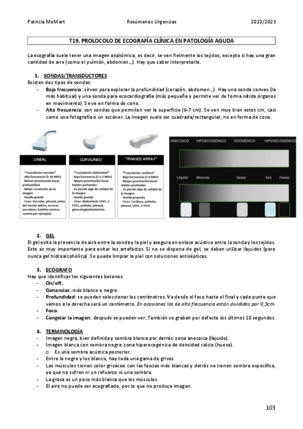 Miniatura del documento T19.-Introduccion-Ecografia.pdf