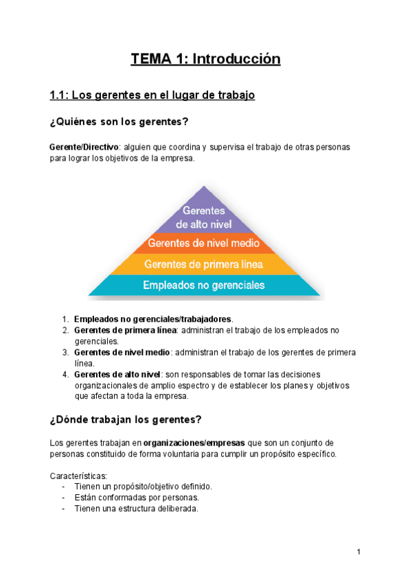 Miniatura del documento IAE-Primer-parcial.pdf