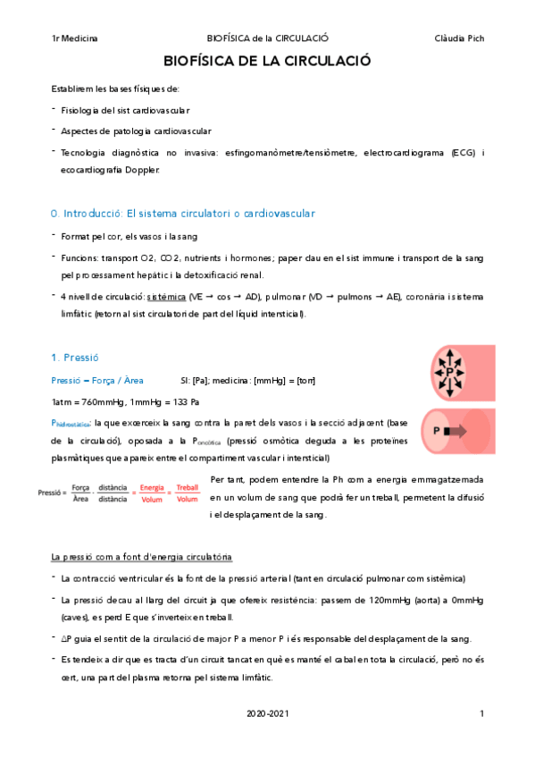 Miniatura del documento BF-de-la-Circulacio-Claudia-Pich.pdf