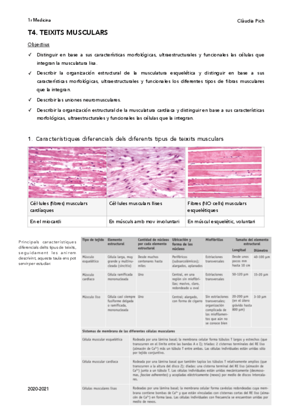 Miniatura del documento Histologia-apuntsplabs-Claudia-Pich-44.pdf