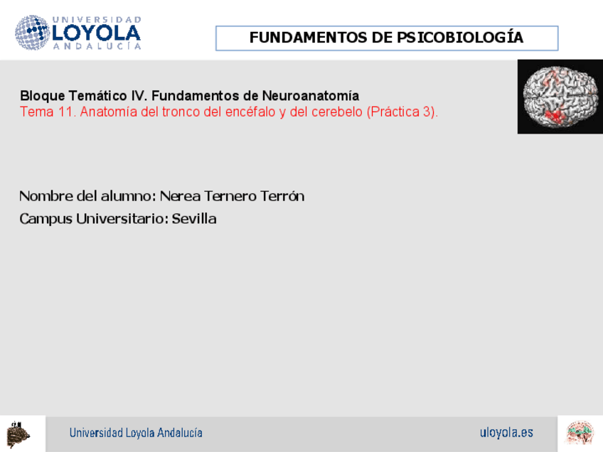 Miniatura del documento Practica 3.ppt.pdf