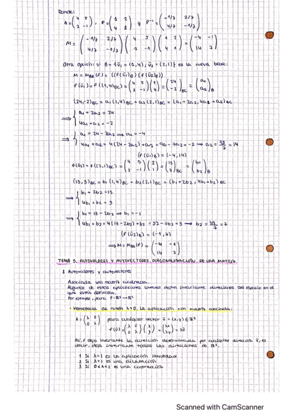 Miniatura del documento TEMA-5.-AUTOVALORES-Y-AUTOVECTORES.-DIAGOLINACION-DE-UNA-MATRIZ.pdf