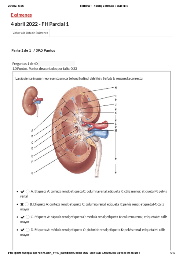 Miniatura del documento Examen-1.pdf
