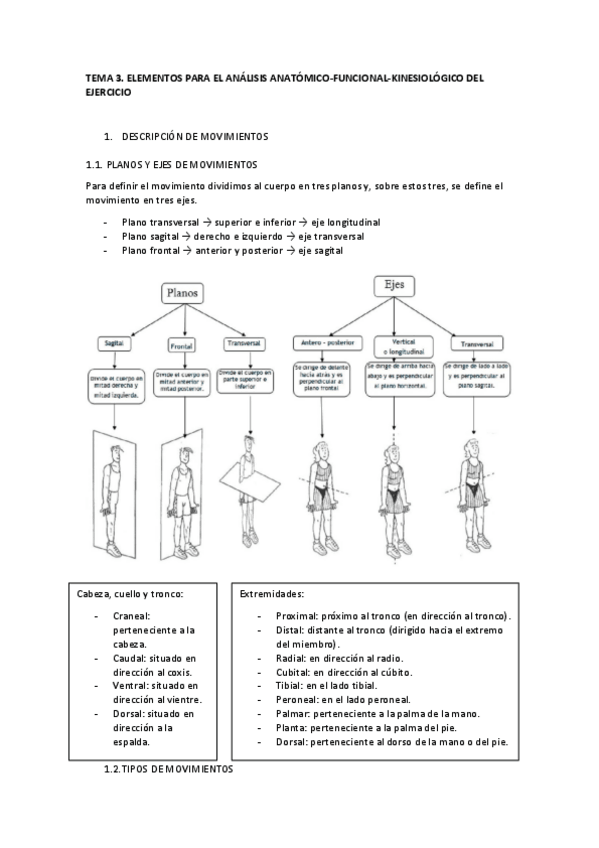 Miniatura del documento TEMA-3.-Elementos-para-el-analisis-anatomico-funcional-kinesiologico..pdf