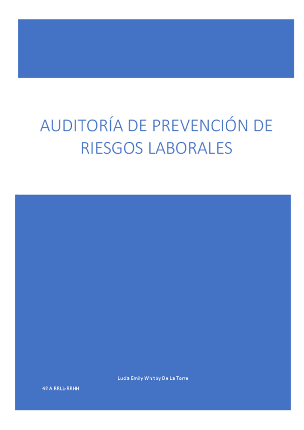 Miniatura del documento TRABAJO-FINAL-AUDITORIA.pdf