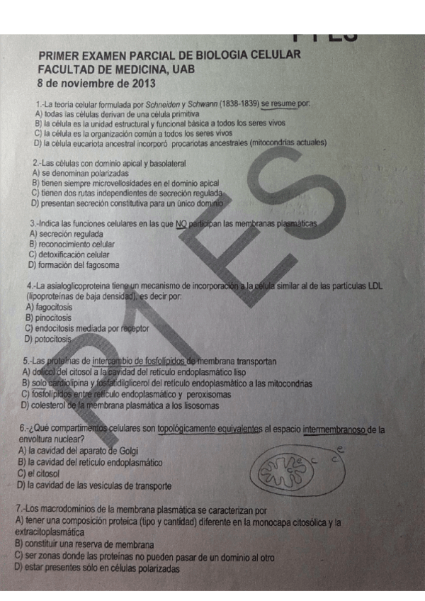 Miniatura del documento BCExamen01.pdf