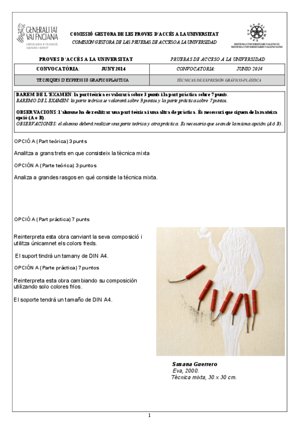 Miniatura del documento 005A-Tecnicas-de-Expresion-Grafico-Plasticas-A-B-junio-2014.pdf