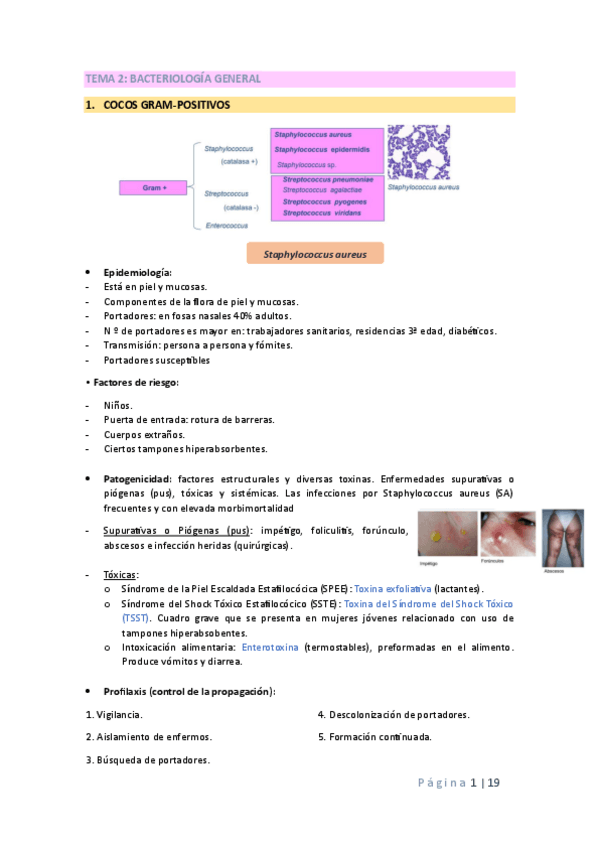 Miniatura del documento TEMA-2-micro.pdf