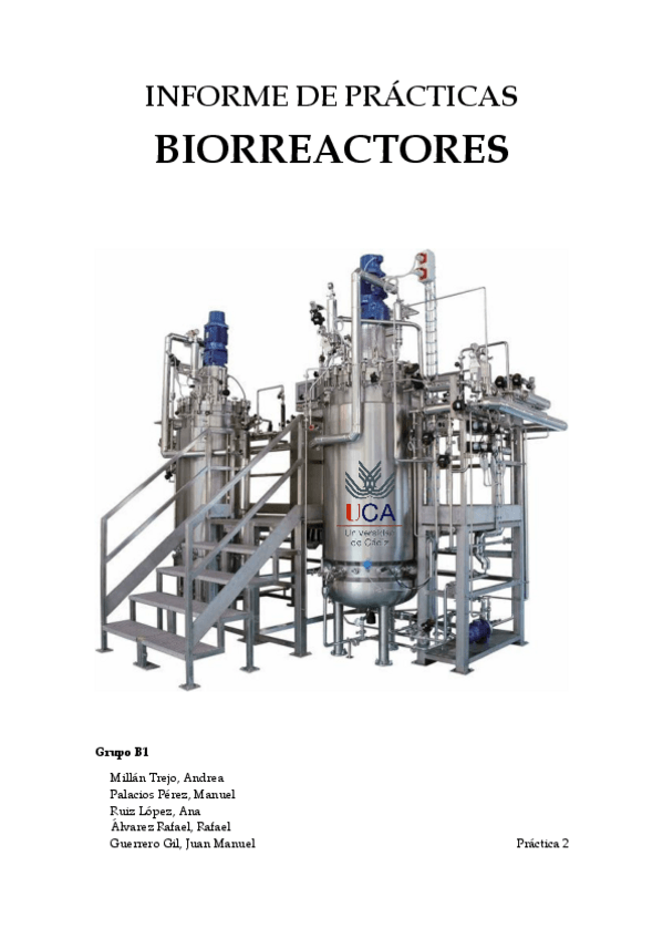 Miniatura del documento Práctica 2 (KLa) - Grupo B1.pdf