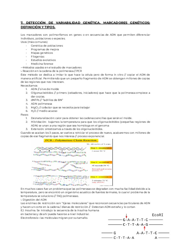 Miniatura del documento 7.-GENETICA.pdf