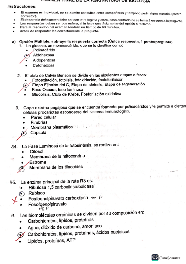 Miniatura del documento FINALNIVE-BIOLOGIA-BQF.pdf