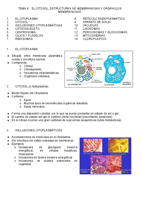 Miniatura del documento Tema-8.pdf
