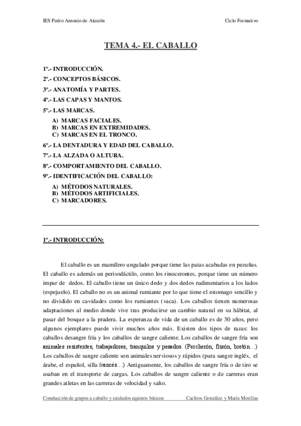 Miniatura del documento TEMA-4.-EL-CABALLO.pdf