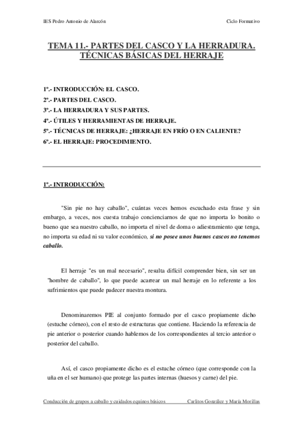 Miniatura del documento TEMA-11.-PARTES-DEL-CASCO-Y-LA-HERRADURA.-TECNICAS-BASICAS-DEL-HERRAJE.pdf