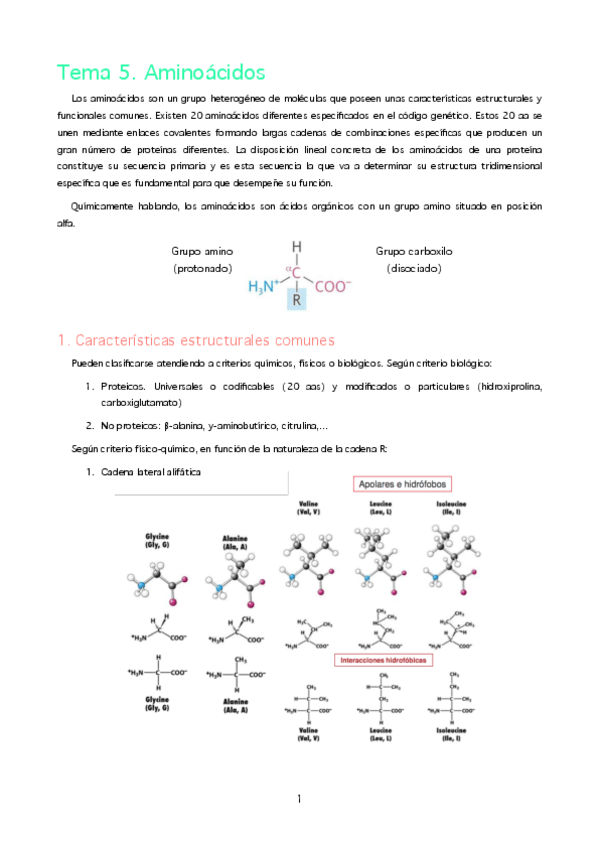 Miniatura del documento MBQ. T5. Aminoácidos y proteínas.pdf