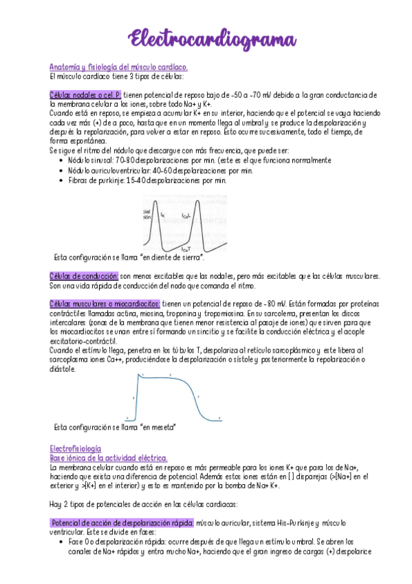 Miniatura del documento ECG.pdf