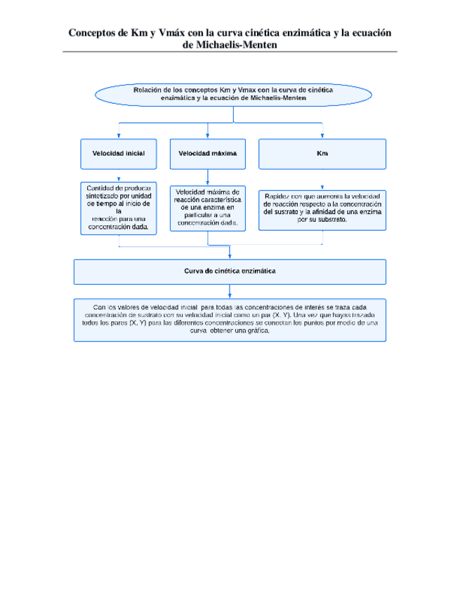 Miniatura del documento Conceptos-de-Km-y-Vmax-con-la-curva-cinetica-enzimatica-y-la-ecuacion-de-Michaelis-Menten.pdf
