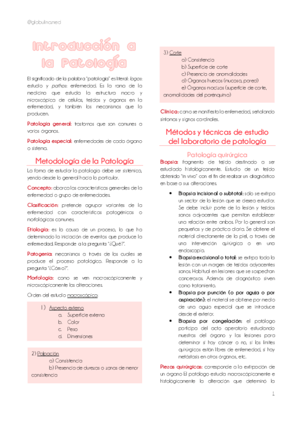 Miniatura del documento 1-Introduccion.pdf