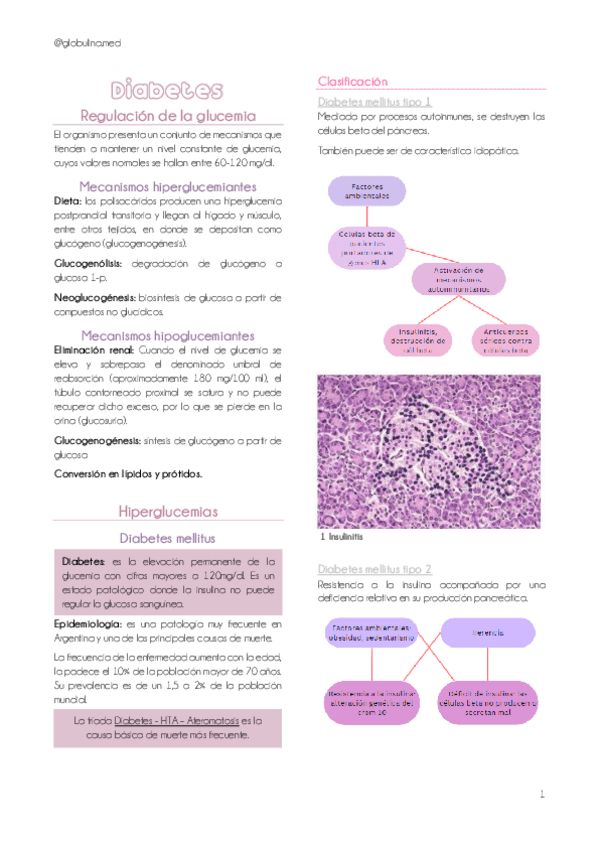Miniatura del documento 2-Diabetes-ATE-HTA.pdf
