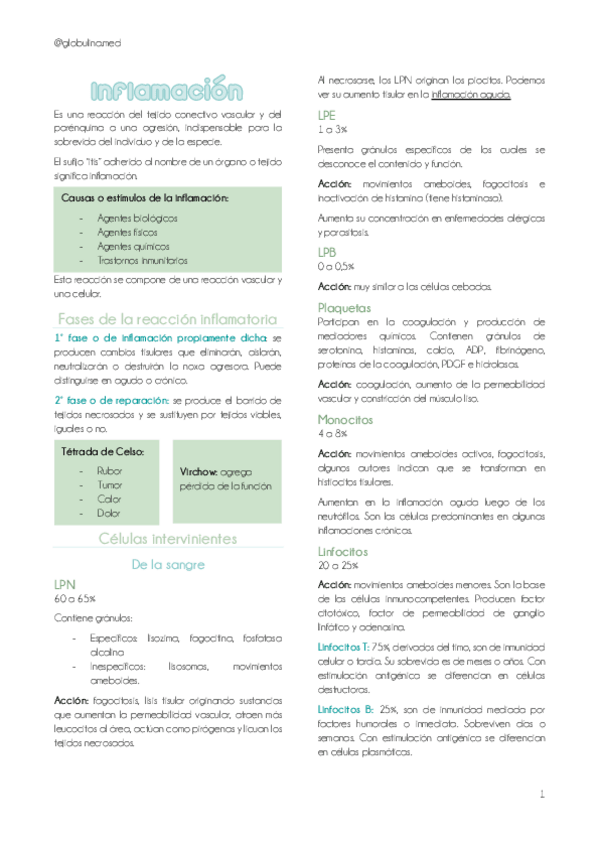Miniatura del documento 5-Inflamacion.pdf