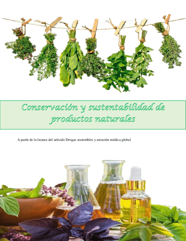 Miniatura del documento Conservacion-y-sustentabilidad-de-productos-naturales-.pdf