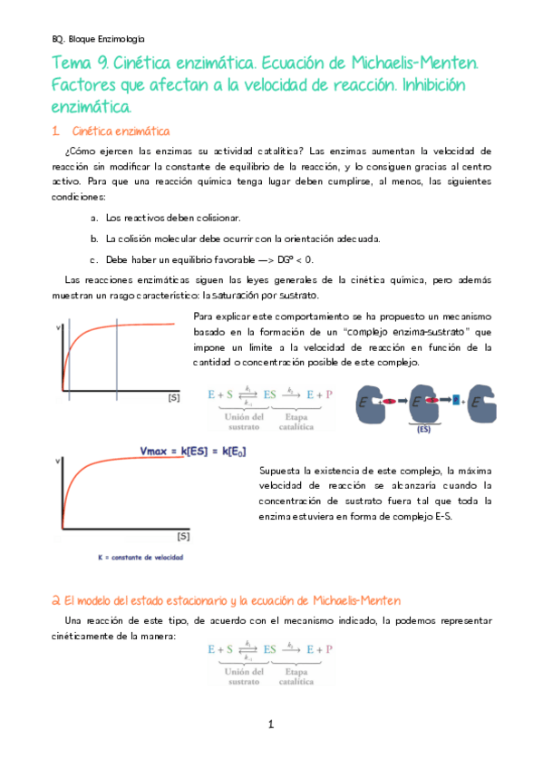 Miniatura del documento MBQ. T9. Enzimología II.pdf