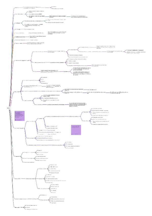 Miniatura del documento GPC-mexicana-Asma-en-ninos-Mapa-conceptual.pdf
