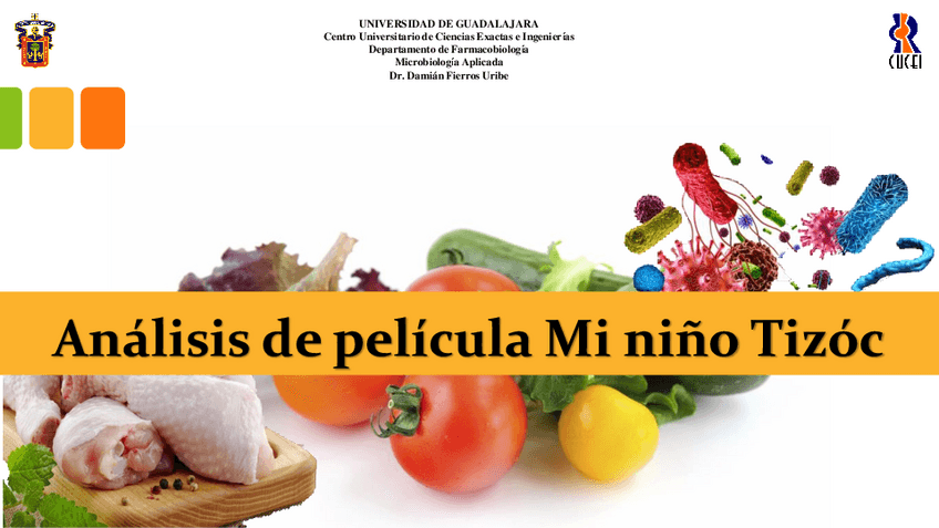 Miniatura del documento Analisis-de-pelicula-Mi-nino-Tizoc.pdf