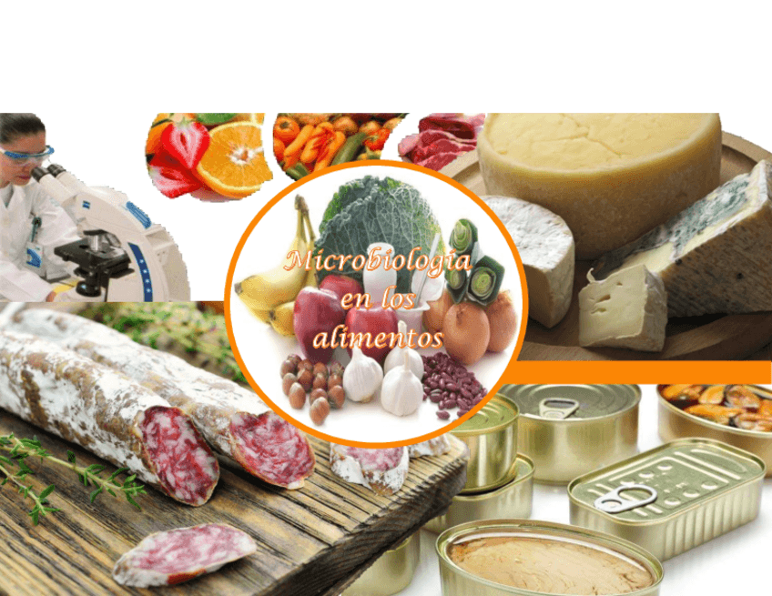 Miniatura del documento Microbiologia-en-los-alimentos.pdf