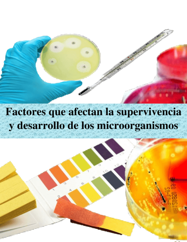 Miniatura del documento Factores-que-afectan-la-supervivencia-y-desarrollo-de-los-microorganismos.pdf