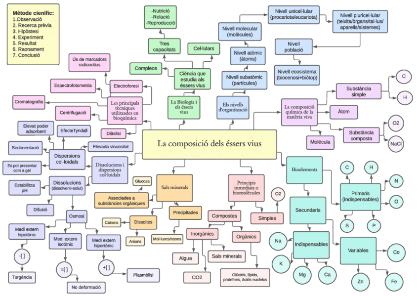 Miniatura del documento Composicio-dels-essers-vius esquema.pdf