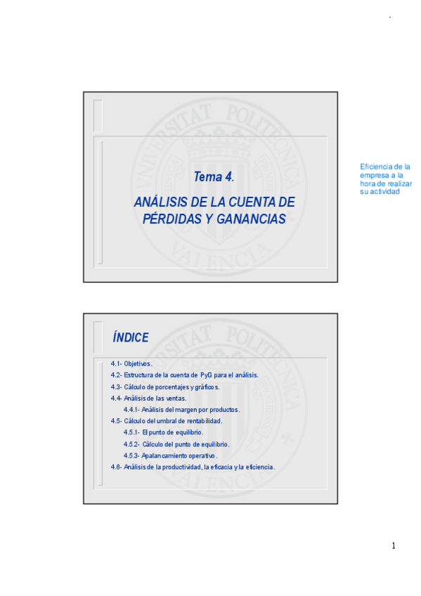 Miniatura del documento TEMA-4-Analisis-de-la-cuenta-de-PyG.pdf