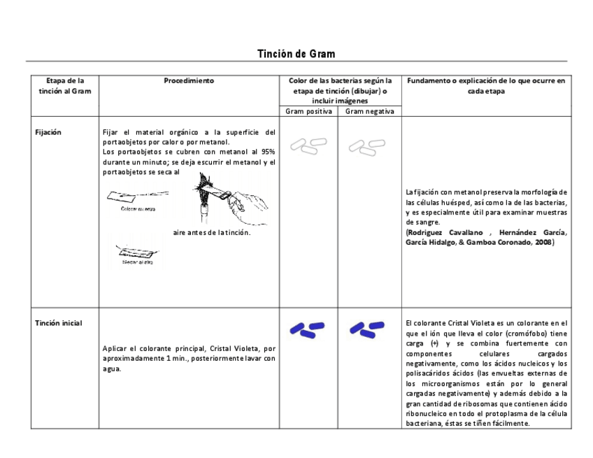 Miniatura del documento Tincion-Gram.pdf