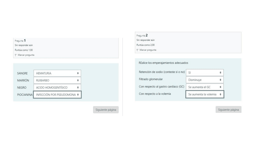 Miniatura del documento PATOLOGIA-URINARIA-2022-2023.pdf