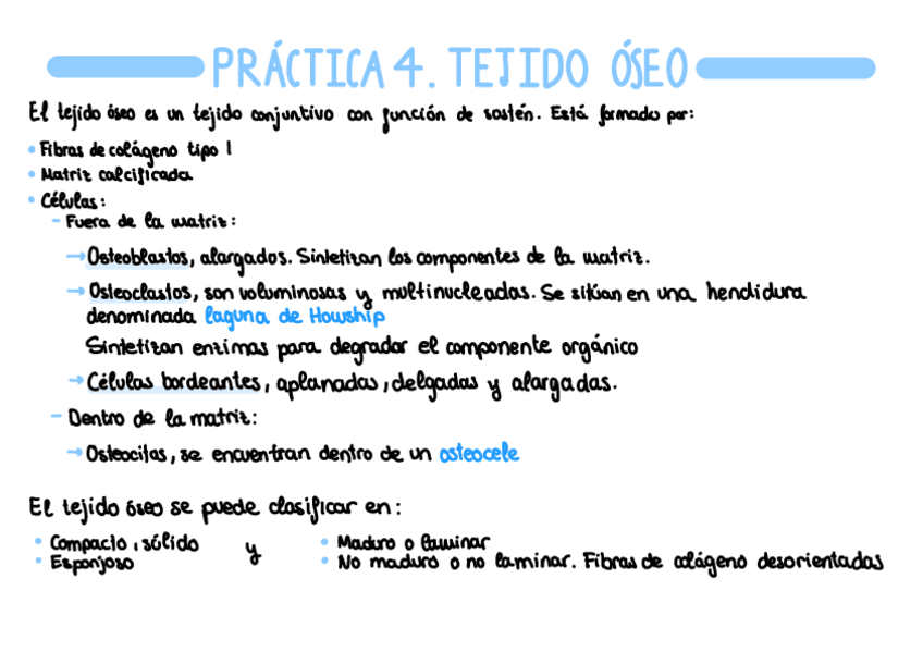 Miniatura del documento P4.-Tejido-oseo.pdf