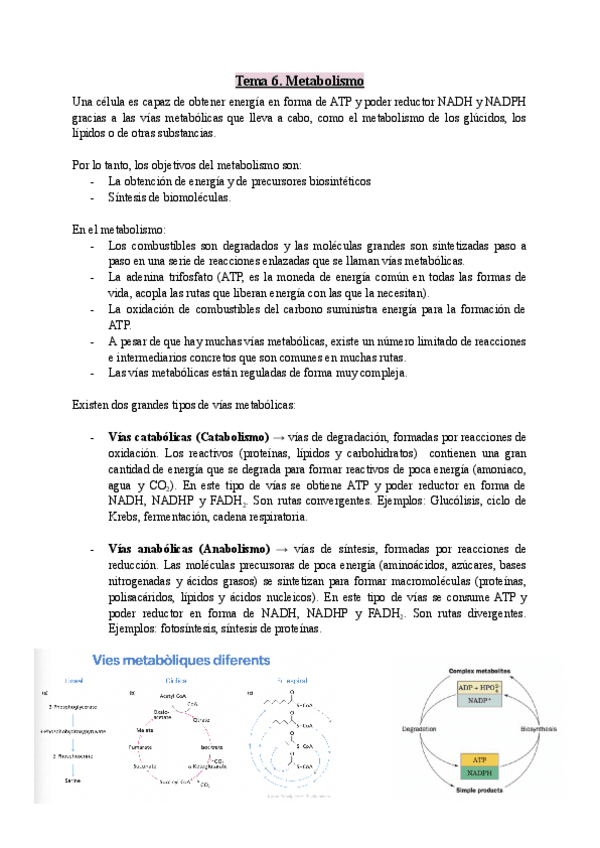 Miniatura del documento TEMA-6.pdf