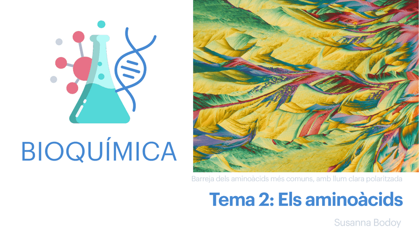 Miniatura del documento Tema-2-BQ-copia.pdf