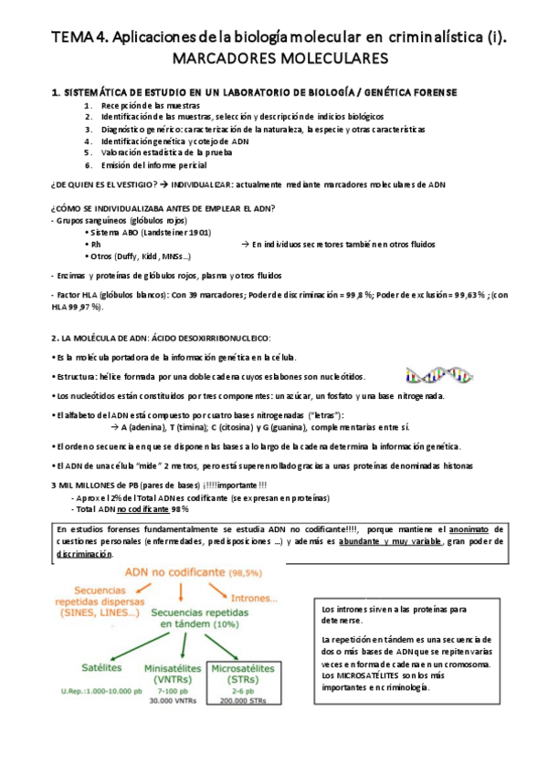 Miniatura del documento tema-4.1-Y-4.2-policia.pdf