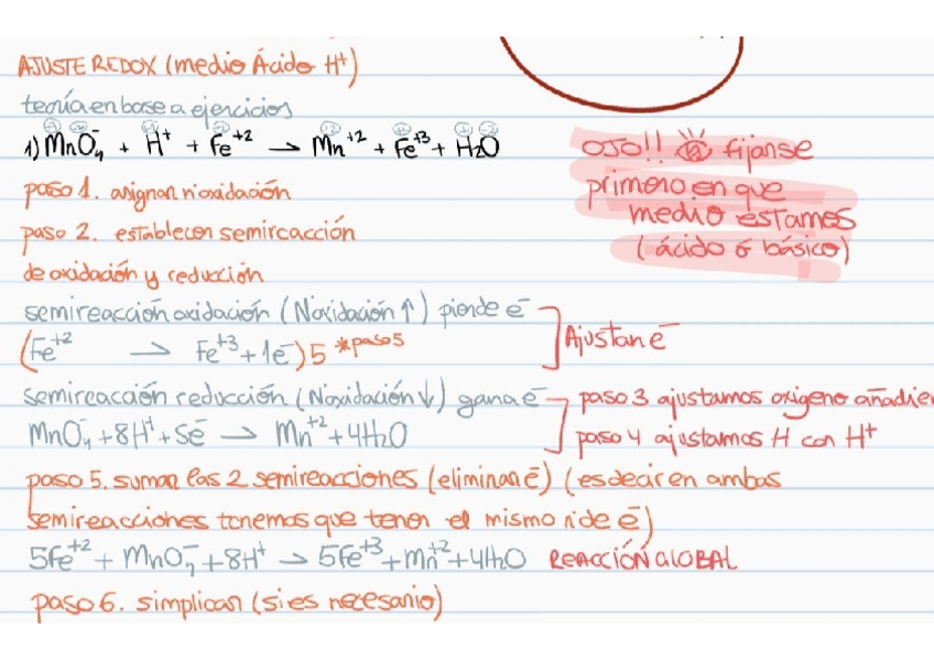Miniatura del documento EJERCICIOS-REDOX-MEDIO-ACIDO.pdf