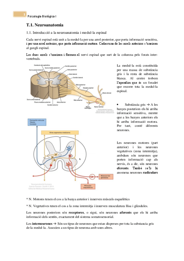 Miniatura del documento Examen-Psicobio.pdf