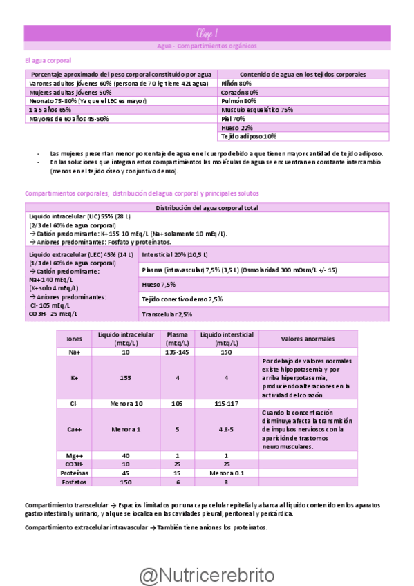 Miniatura del documento Clase-1-Agua-compartimientos-organicos-hematopoyesis-Nutricerebrito.pdf