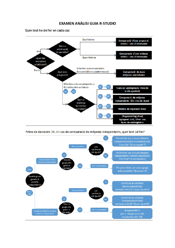 Miniatura del documento Guia-examen-r-studio.pdf