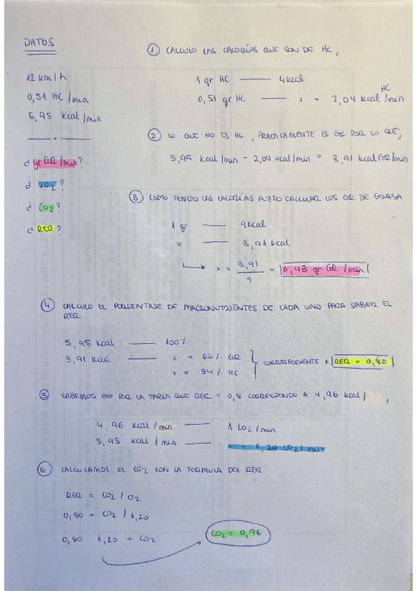 Miniatura del documento Ejercicio-metabolismo-explicado-paso-por-paso.pdf