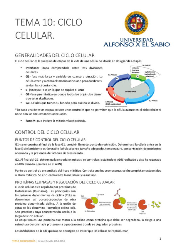 Miniatura del documento Tema 10 bueno.pdf