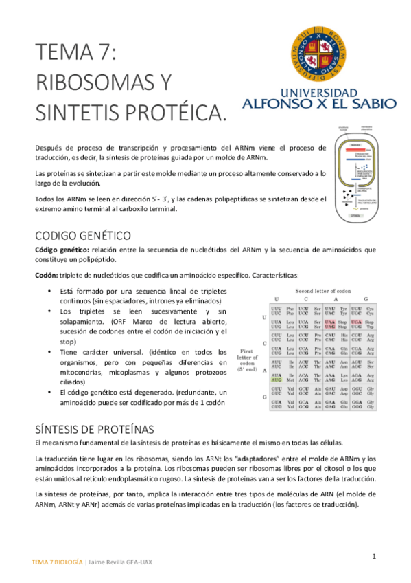 Miniatura del documento Tema 7 bueno.pdf