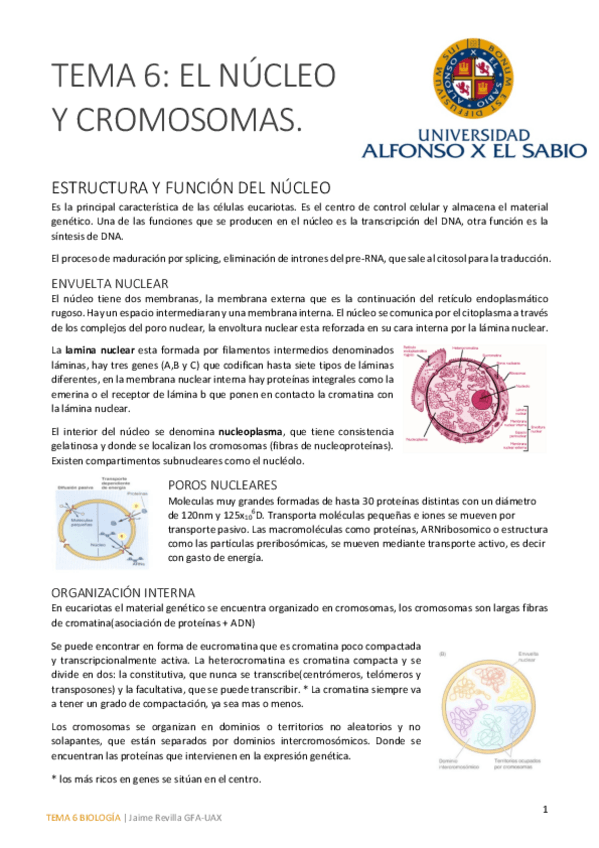 Miniatura del documento Tema 6 bueno.pdf