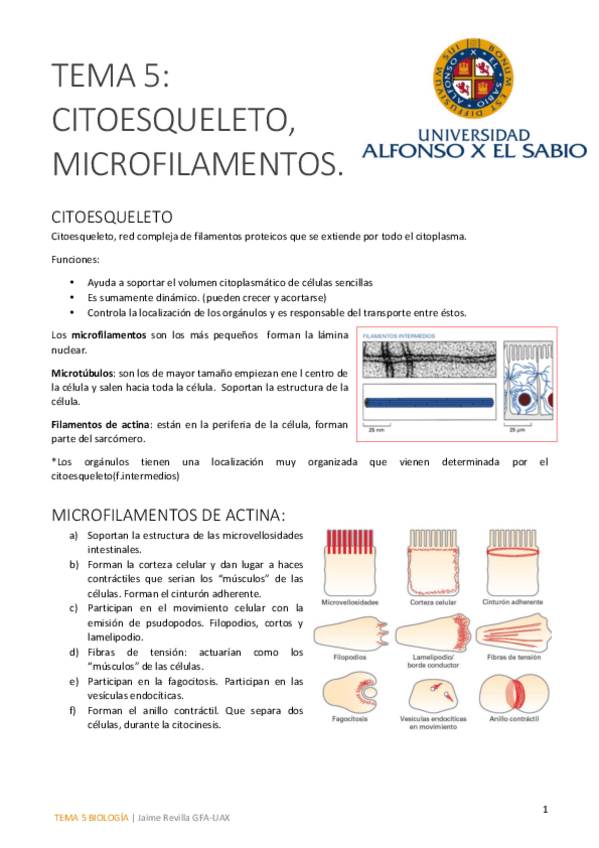 Miniatura del documento Tema 5 bueno.pdf